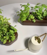 Kit potager d'intérieur prêt à planter - 3 légumes-feuille et fleurs comestibles bio
