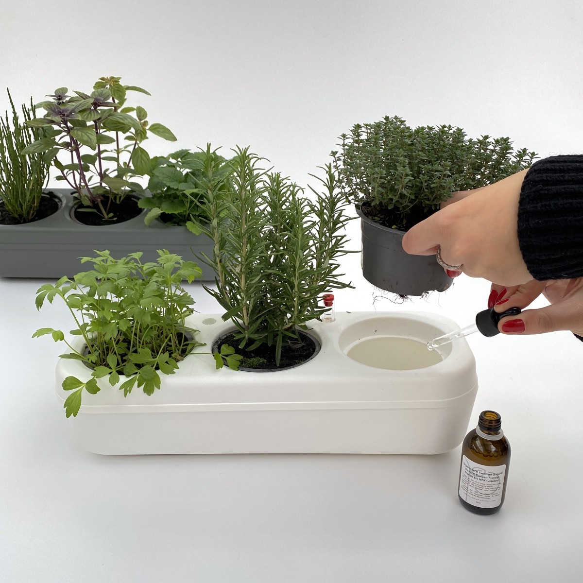 Kit potager prêt à planter semi-hydroponique - 3 herbes aromatiques bio -  Plantes et Pots The Urban Permaculture - Slood