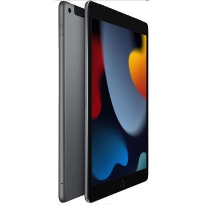 Apple iPad (2021) 64 Go Wi-Fi + Cellular Gris Sidéral