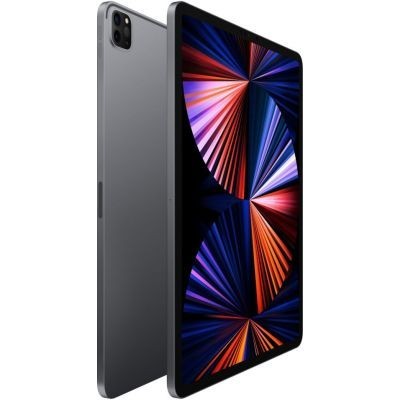 Apple iPad Pro (2021) 11 pouces 128 Go Wi-Fi + Cellular Gris Sidéral