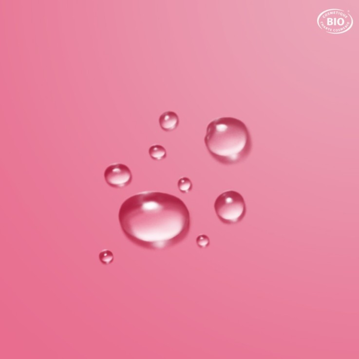 Brume fraîche apaisante Bio (100 ml)