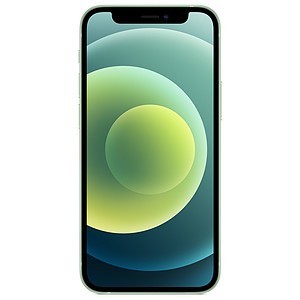 Apple iPhone 12 mini - 256 Go - Vert