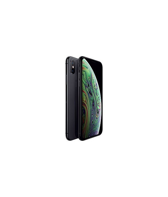 Apple iPhone Xs 256 Go Gris...
