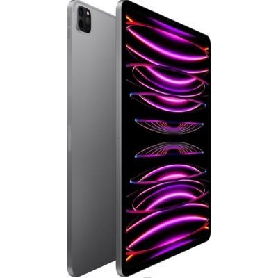 Apple iPad Pro (2022) 12.9 pouces 128 Go Wi-Fi Gris Sidéral