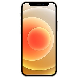 Apple iPhone 12 mini - 128 Go - Blanc