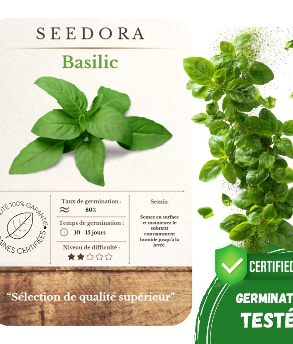 Graines de Basilic Grand...
