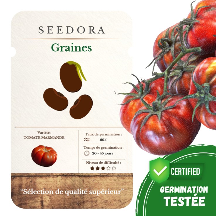 Graines Tomate Marmande Non-OGM