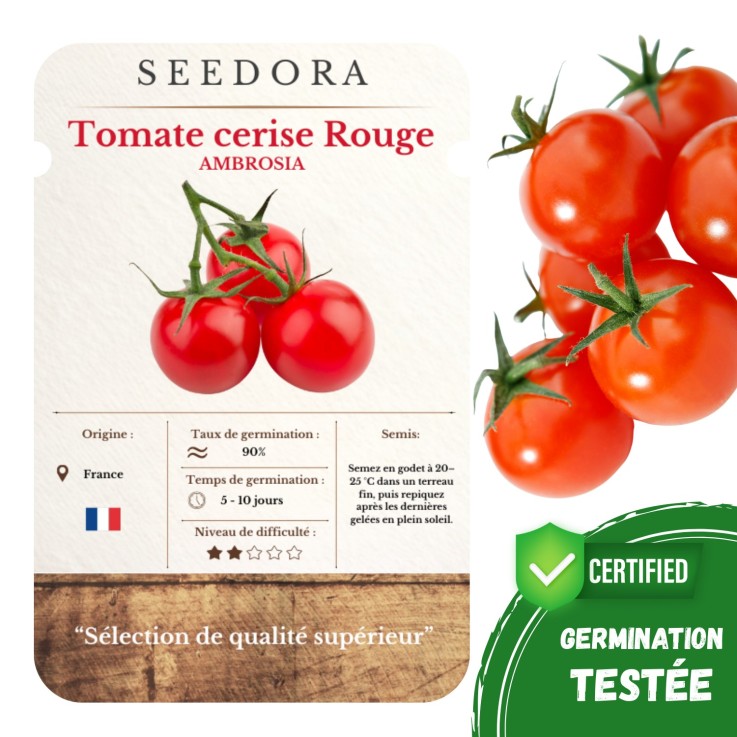 Graines Tomate Cerise Ambrosia Non-OGM