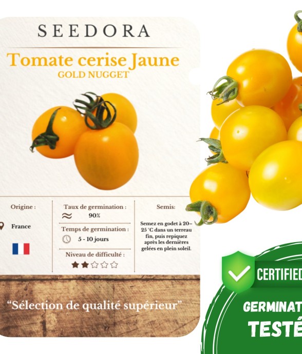Graines Tomate Cerise Gold...