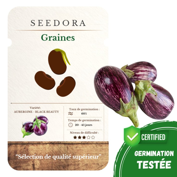 Graines d'Aubergine Black Beauty (10 Graines) Non-OGM
