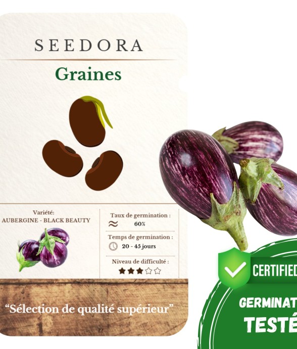 Graines d'Aubergine Black...