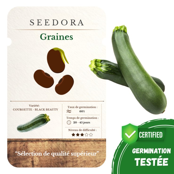 Graines de Courgette Verte Non-OGM