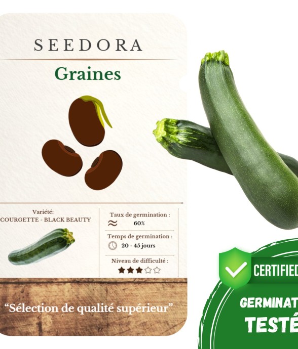 Graines de Courgette Verte...