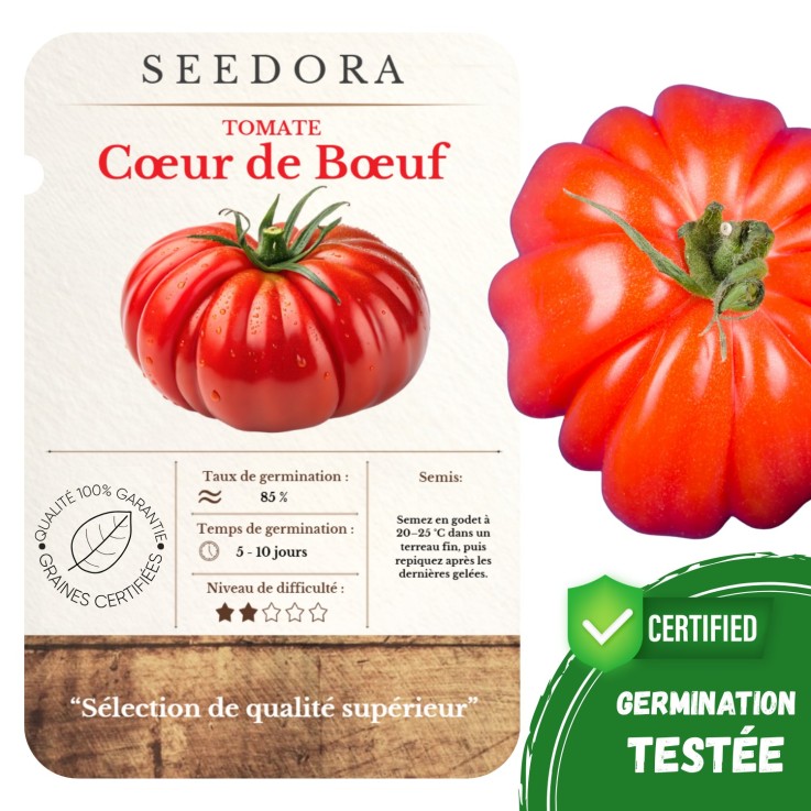 Graines de Tomate Cœur de Bœuf (15 Graines )