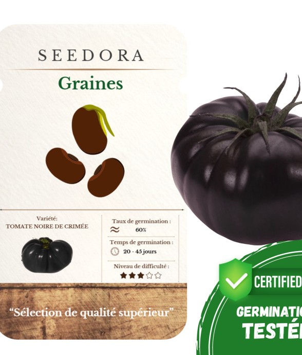 Graines Tomate Noire –...