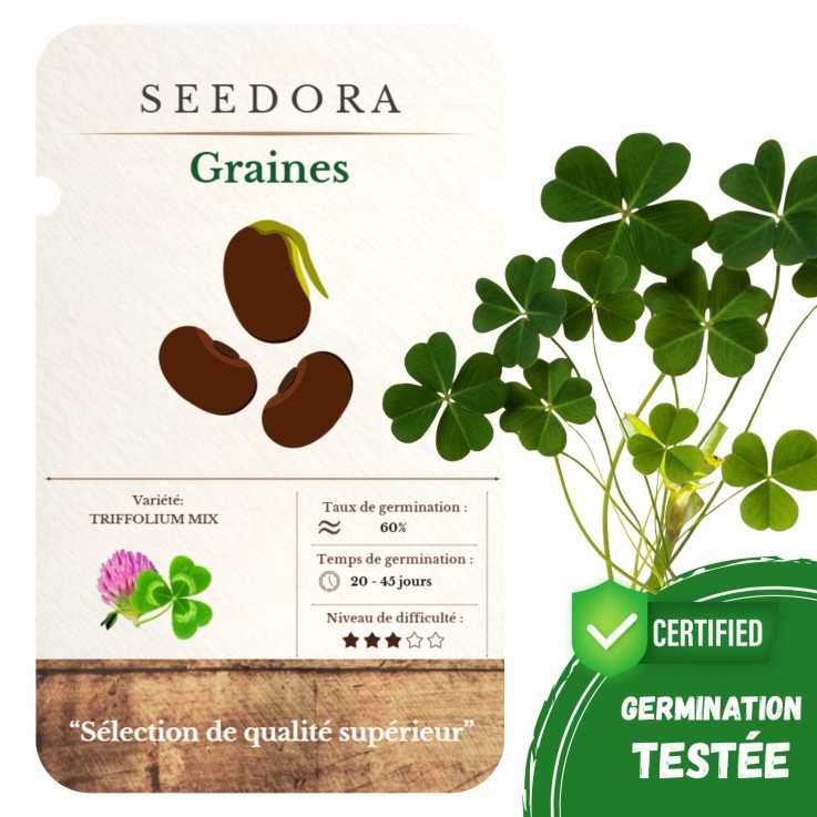 Graines Trèfle Blanc – Trifolium Repens Non-OGM