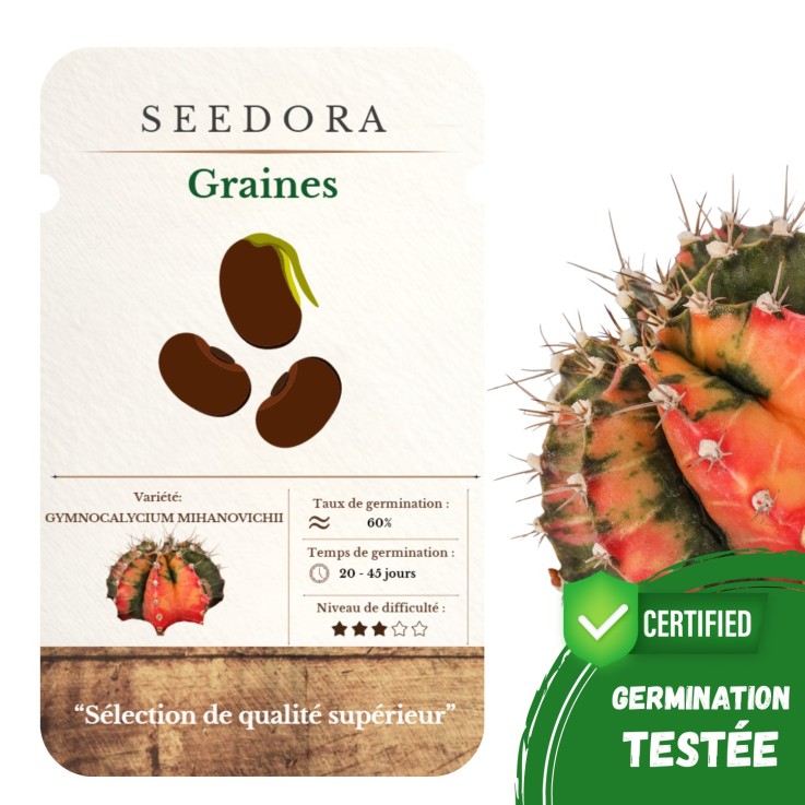 Graines Gymnocalycium – Cactus Menton, Mix Espèces, Non-OGM
