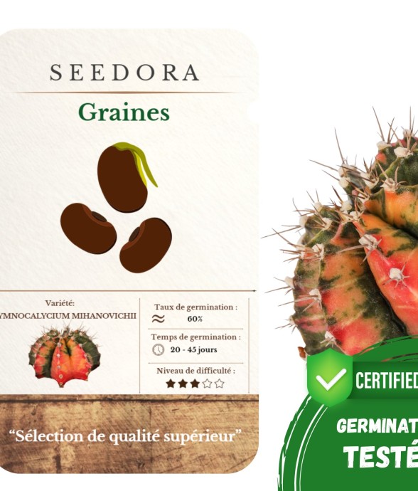 Graines Gymnocalycium –...