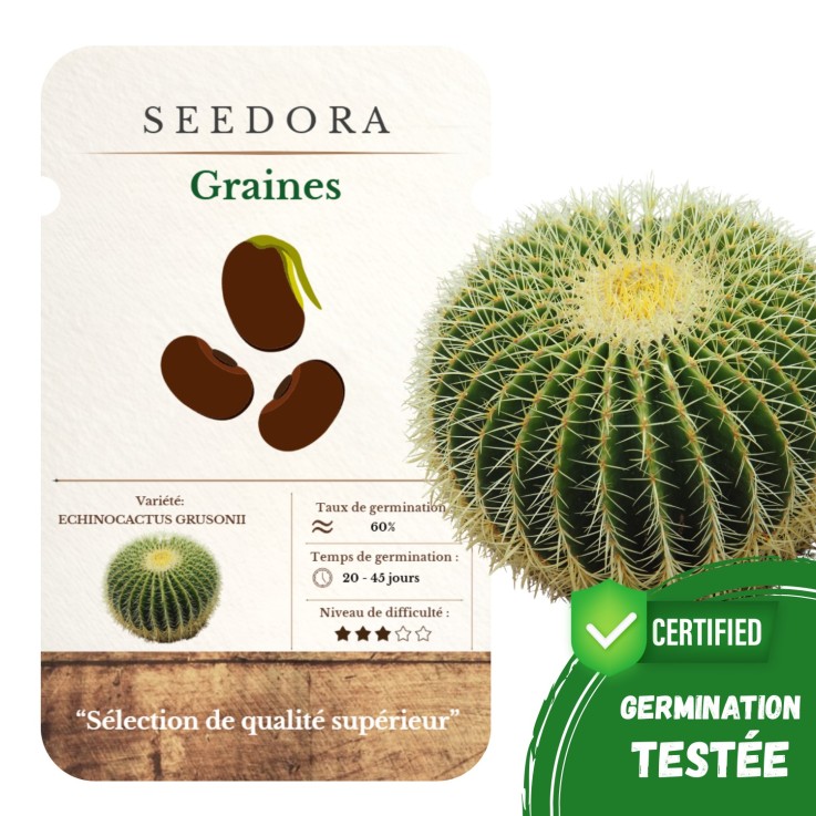 Graines Echinocactus Grusonii sans OGM