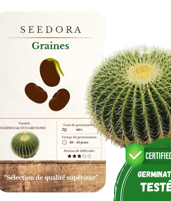 Graines Echinocactus...