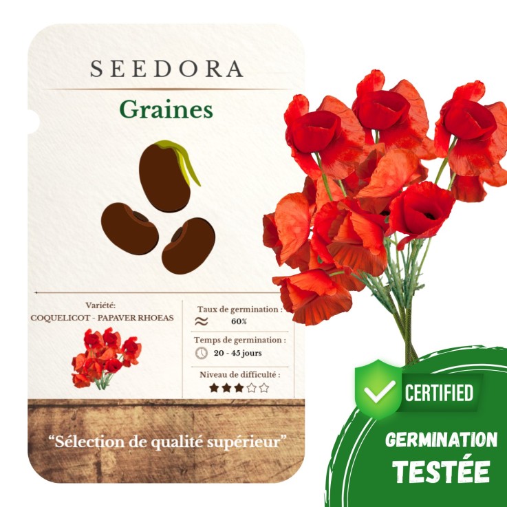 Graines de Coquelicot – 30 Graines Non-OGM