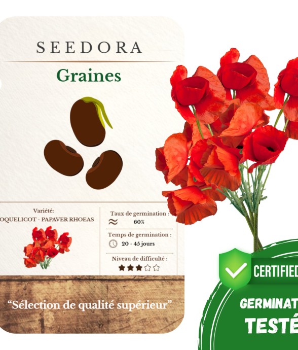 Graines de Coquelicot – 30...