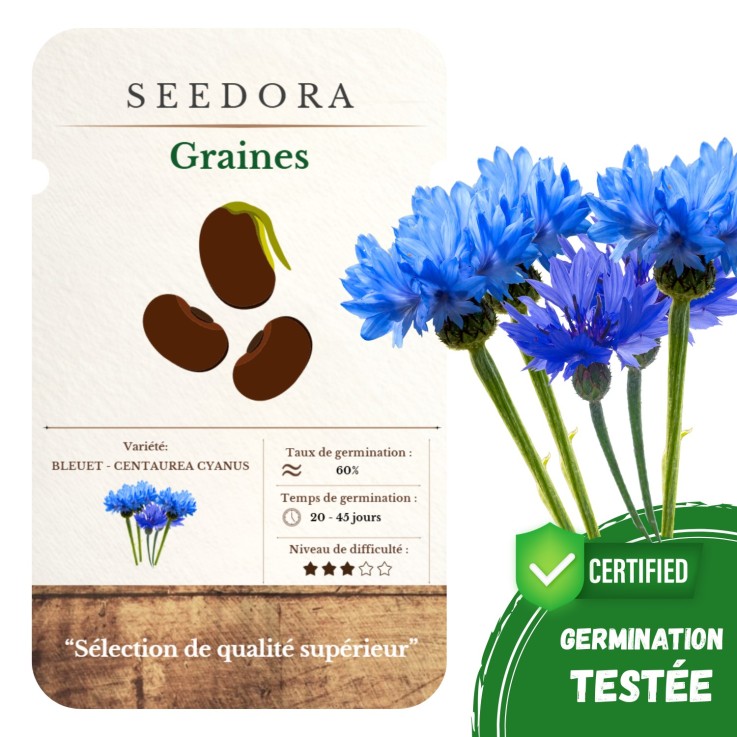 Graines de Bleuet des Champs Non-OGM