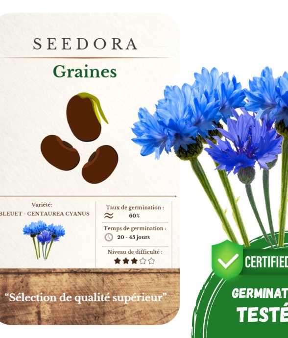 Graines de Bleuet des...