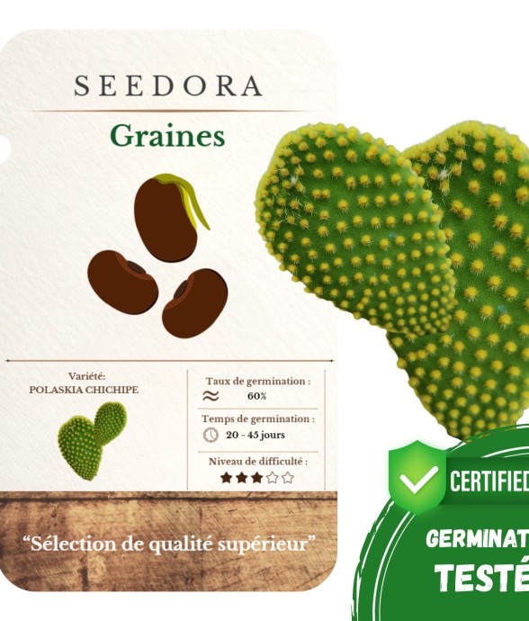 Graines Opuntia Microdasys...