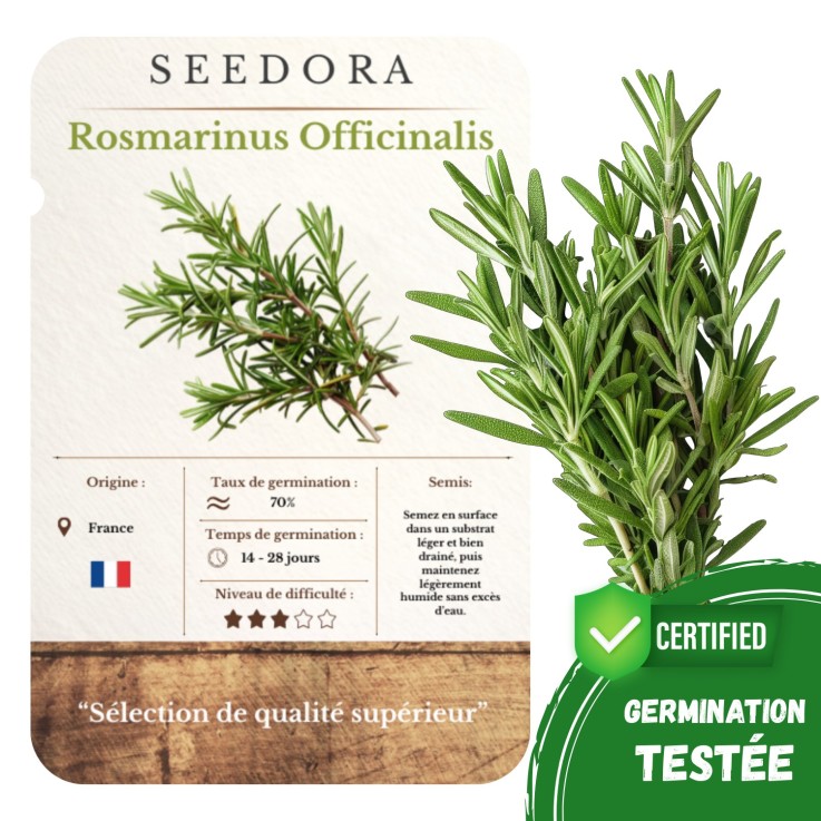Graines Romarin – Rosmarinus Officinalis Non-OGM