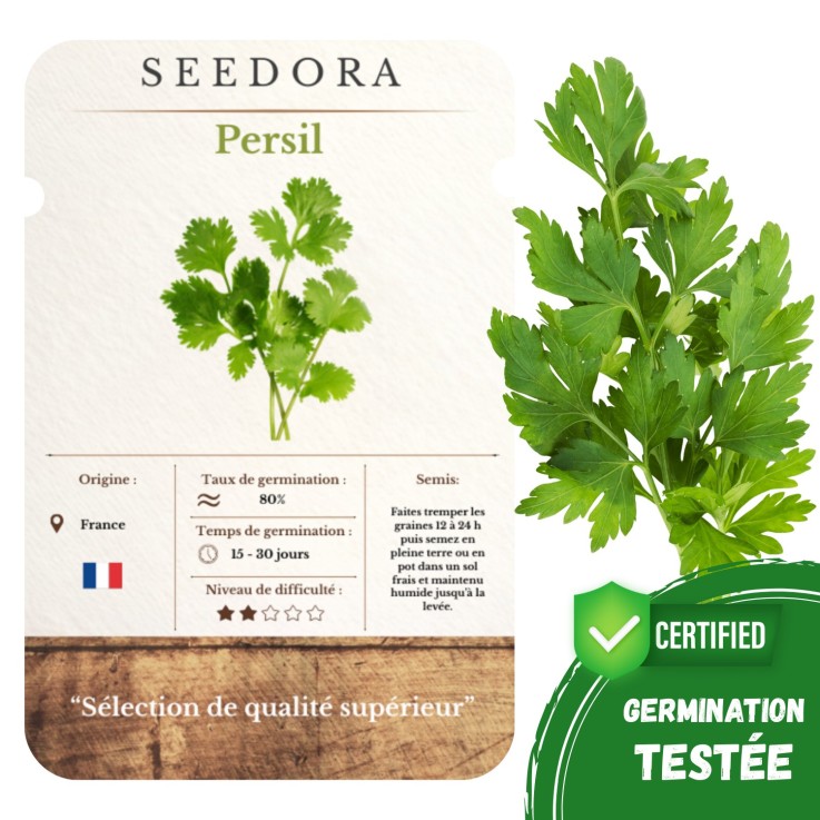 Graines Persil plat ou frisé, Non-OGM