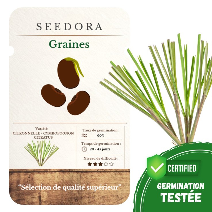 Graines de Citronnelle – Graines Non-OGM