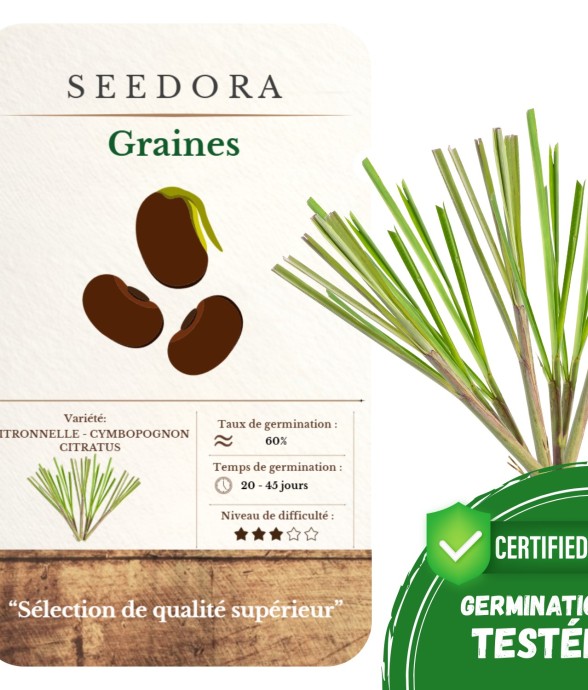 Graines de Citronnelle –...