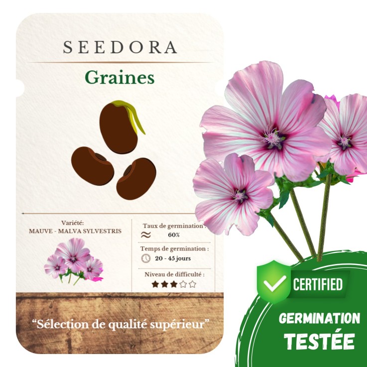 Graines Mauve Sylvestre Malva Sylvestris sans OGM