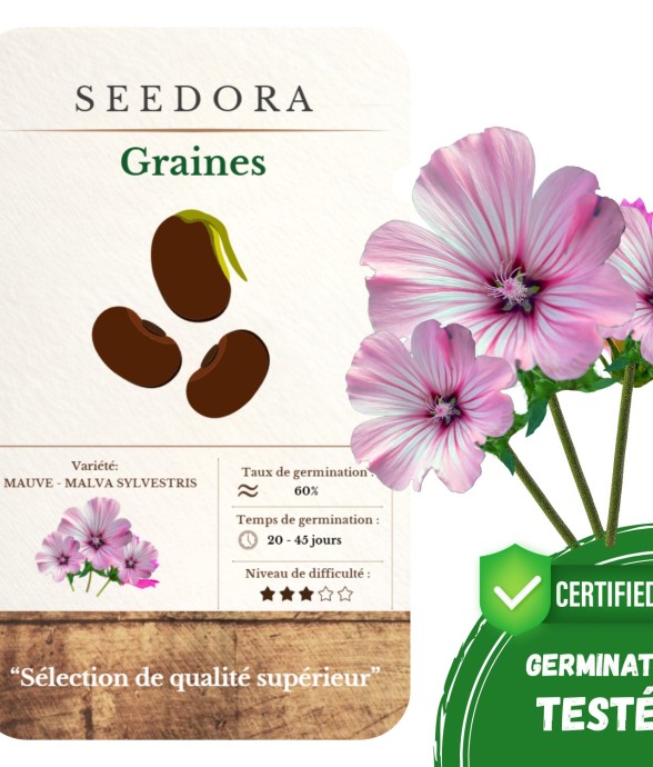 Graines Mauve Sylvestre...