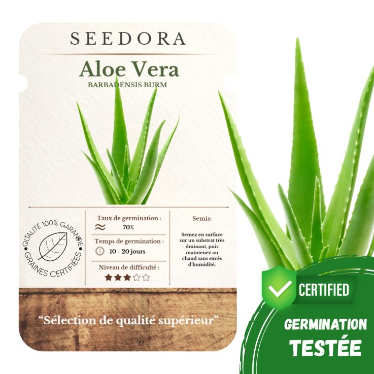 Graines d’Aloe Vera - 5 Graines Sélectionnées Non-OGM