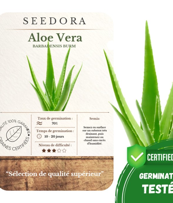 Graines d’Aloe Vera - 5...