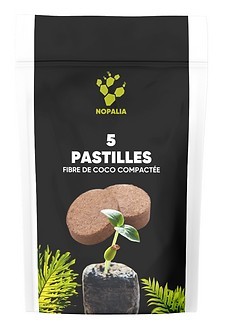 Pastilles de Fibre de coco compactée à réhydrater