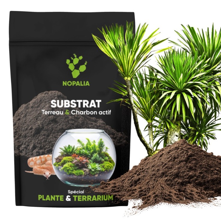 SEEDORA Terreau Premium Charbon Actif – Substrat Terrarium