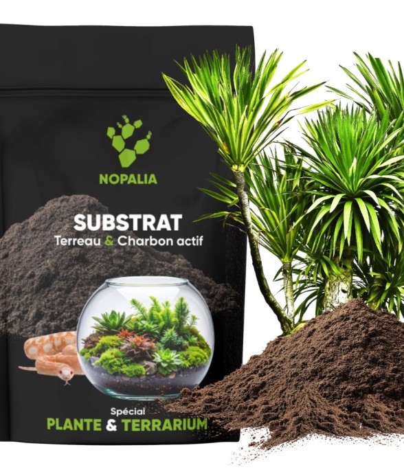 SEEDORA Terreau Premium...