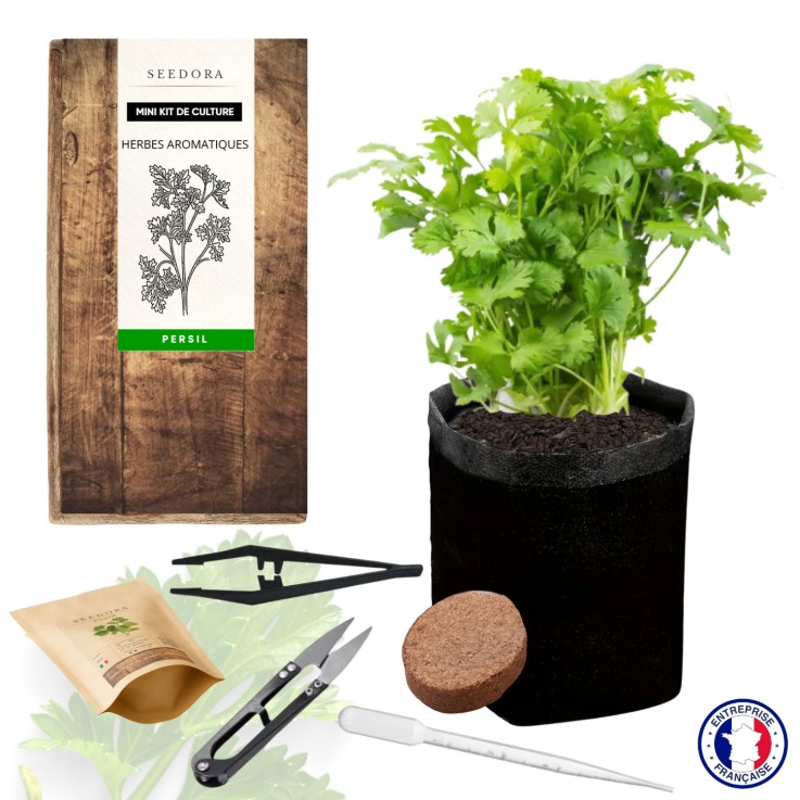 SEEDORA Mini Kit Persil – Graines sans OGM