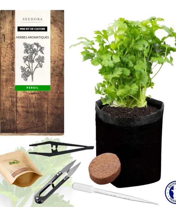 SEEDORA Mini Kit Persil –...