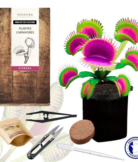 Mini kit plante carnivore...