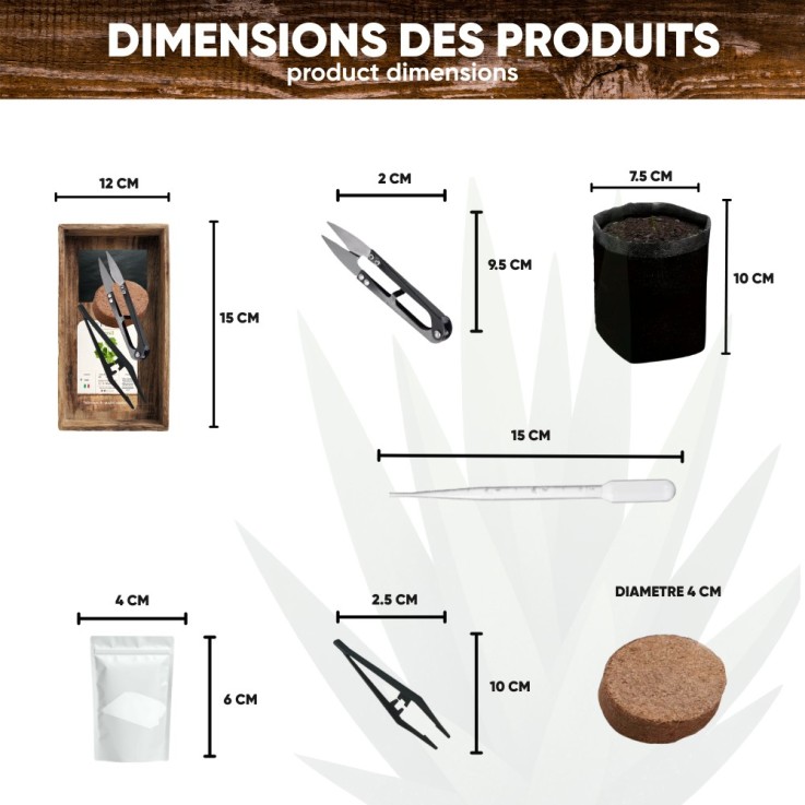 Mini kit plante carnivore Dionée
