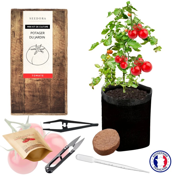 SEEDORA Mini Kit Tomate Cœur de Bœuf – Graines Non-OGM