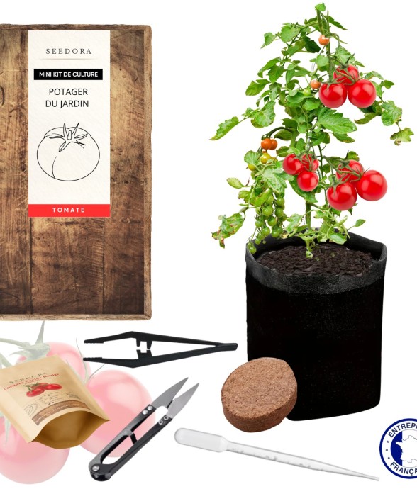 SEEDORA Mini Kit Tomate...