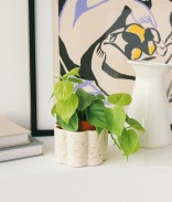 Blanc Grainé