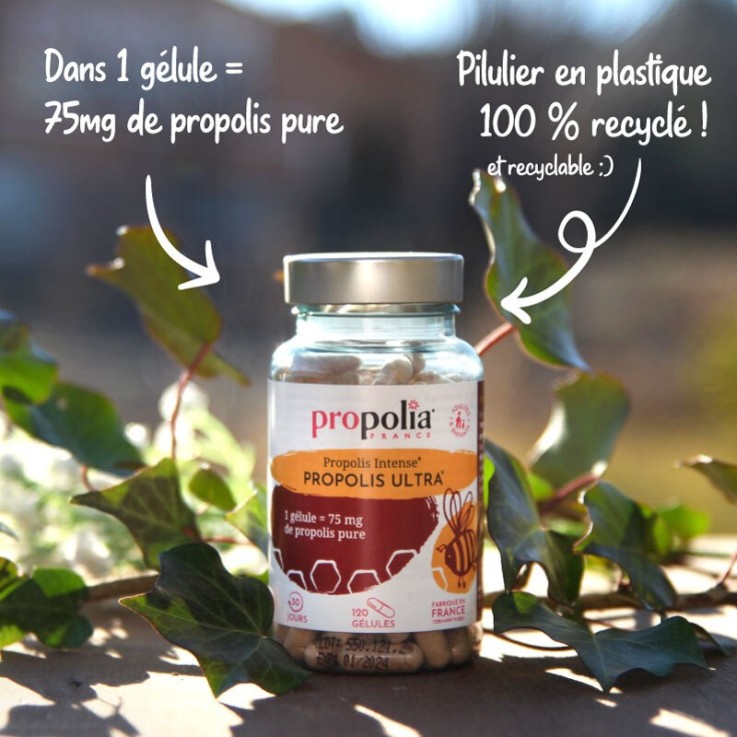 Propolis purifiée et micronisée - Complément alimentaire  (120 gélules végétales)