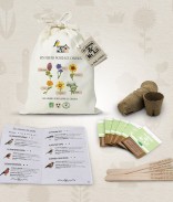 Kit de graines bio - Les fleurs pour les oiseaux