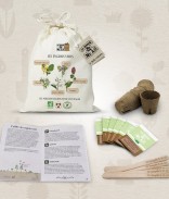 Kit de graines bio - Les engrais vert